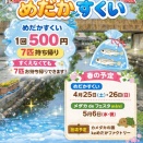 今週はオアシスパークdeメダカすくい！