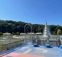 『国営越後丘陵公園』水遊び広場の一部が利用休止するらしい。8月17日、18日。