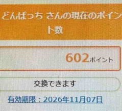 お小遣い稼ぎ〜( *´艸｀)