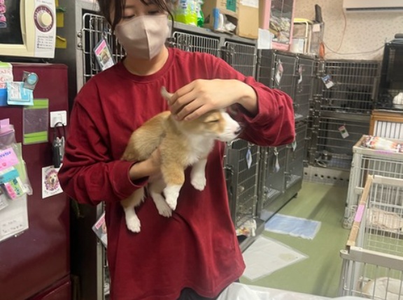 日曜日のクリニックです💓