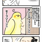 たろぴぃブログ
