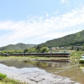 5月16日撮影　383系「しなの8号」と・・