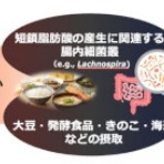「うつ」の心に癒しを。