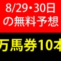 競馬予想無料公開サイト~8/29・8/30(2026)検証