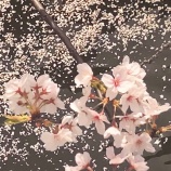 『わかりやすいって大事　vol.3258』の画像