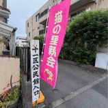『【8/30 里親会 開催報告🍉】』の画像