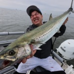TOKYOBAY FISHING GUIDE SERVICE Glory(グローリーフィッシング)