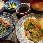 おかんの毎日と食事と猫