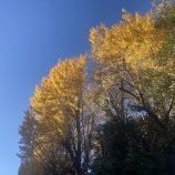 『脳の節目は9歳、32歳、66歳、83歳説の要約　vol.4230』の画像