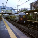 JR奈良線の臨時特急｢いにしへ｣が今秋も運転