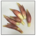 夏ごはんがもっと美味しく【薬膳ごはん】万能・冷凍薬味ミックス