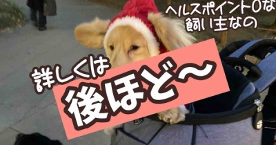 今日しかない。行くぞ横浜。