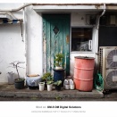 【OM-5】神確LEICA DG SUMMILUX 15mm F1.7