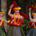 スパリゾートハワイアンズ・ブログ