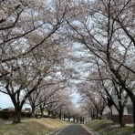 "見タイ”食べタイ”遊びタイ”