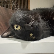 動物病院へ行って焦ったこと