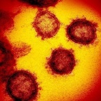 【公式】Dimension System