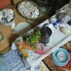 『出来事。過ぐ世現つ世紡ぐ糸MM500』の画像