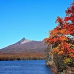 函館最後のカミサマ　占い浄心庵　