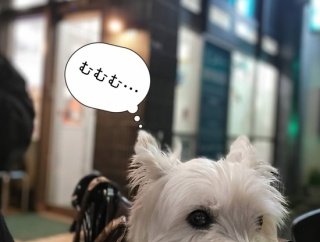 急激に悪くなる外耳炎