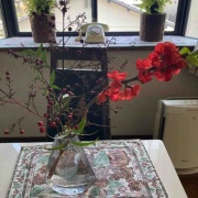 �뤴�ӡ��ե����˥��ǡ��Τ�����