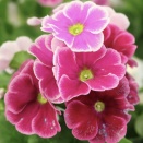 １２月9日は何の日？