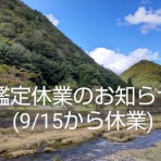 算命学鑑定　麻阿鈴
