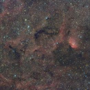 チューリップ星雲(Sh2ｰ101）付近