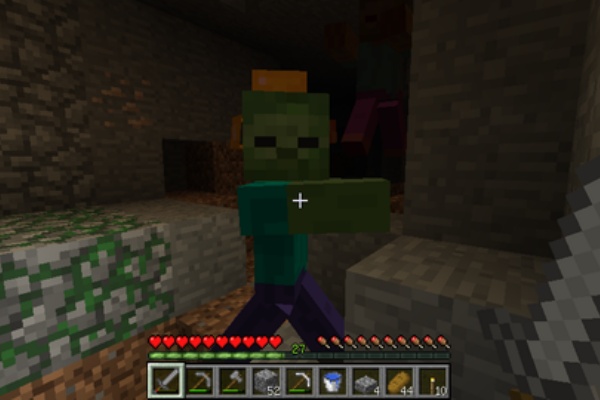 羽虫がマインクラフト