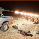 農家が罠を使って何千頭ものイノシシを出し抜いた方法 | 侵入種