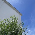 変化いろいろ 夏の必需 ／ 常備薬