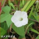 サーブで手首を使ってしまった