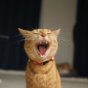 風邪ひいた〜！