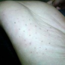 海水浴場で『海産物のもちまき』をやってたので息子と夫が参加。運よくウニ４匹をゲット→ウニと戯れてる子供に近づく知らないママ…まさか…→ここから泥ママの謎理論が炸裂するｗ