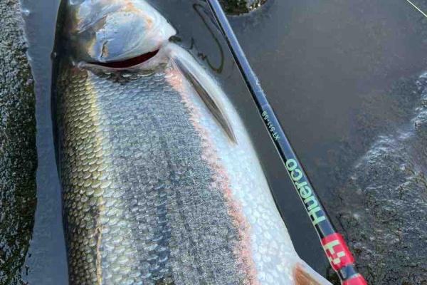 都市型釣りブログ マルタ 都市型釣りブログ マルタ