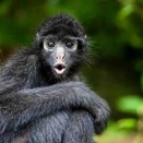 まだ見ぬ生物がこの地球のどこかに
