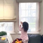 バーニーズのジョンとわんこの里親探し