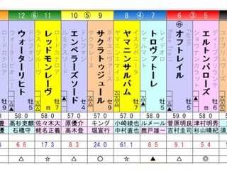 東京新聞杯　予想