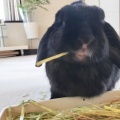 ー ひなたぼっこ ー