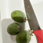 華・あず＆レン