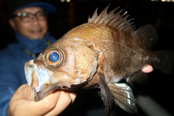 TOKYOBAY FISHING GUIDE SERVICE Glory(グローリーフィッシング