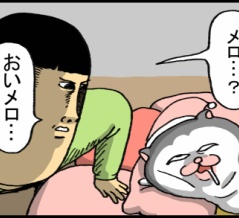 猫には心から熟睡してほしいのにすぐ不安になる