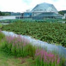 なかがわ水遊園『史上最強の生き物展』