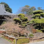 晴れ 時々 マーケティング