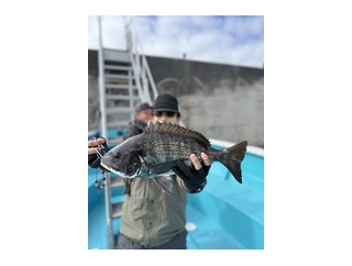 １月３１日（土）の釣果