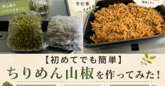 【初めてでも簡単】ちりめん山椒を作ってみた！実山椒の下処理・保存方法も紹介