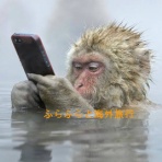 ふらふらと海外旅行　