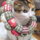 クリスマスの楽しみは 何もないけど元気でご飯が美味しい