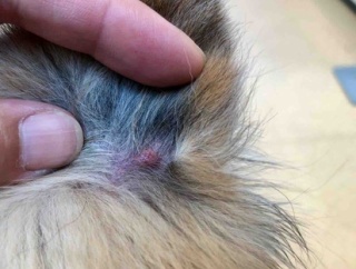 さっちゃん病院。