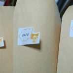 結婚２年目！汚部屋が原因で別居の危機！